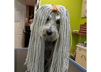 Kamloops pet grooming Roving K-9 Kare