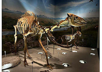 Edmonton places to see Royal Alberta Museum