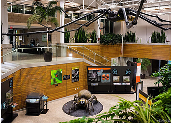 Burlington places to see Royal Botanical Gardens