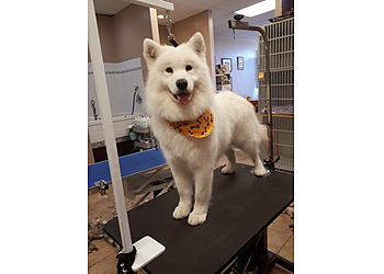 Guelph pet grooming Royal City Grooming Centre