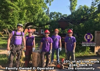 Guelph Services d'arboriculteur Royal City Tree Care