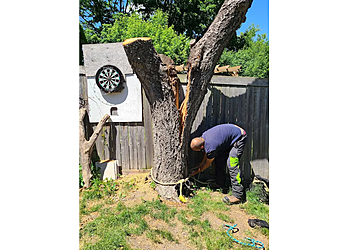 Oshawa tree service Royal Tree Service Oshawa