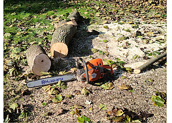 Oshawa tree service Royal Tree Service Oshawa