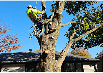 Oshawa Services d'arboriculteur Royal Tree Service Oshawa