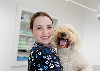 Royal Vet Clinics - Montreal, QC Cliniques Vétérinaires - Doctor With Patient Image