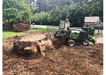 Delta tree service Royal Wood Tree Services LTD.