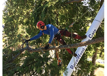 Delta tree service Royal Wood Tree Services LTD.