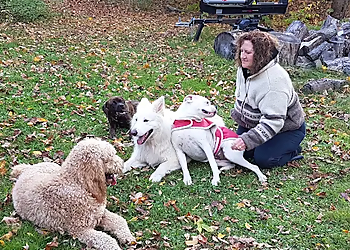 Rrruffhouse - Belleville, ON Dog Trainers - Group Training Image