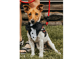 Belleville dog trainer Rrruffhouse