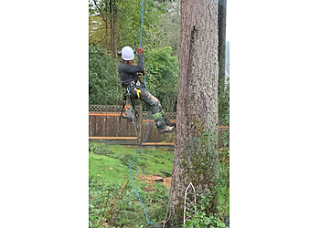 Langley tree service Ruby Tree Care