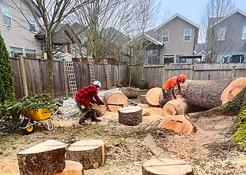 Langley tree service Ruby Tree Care 