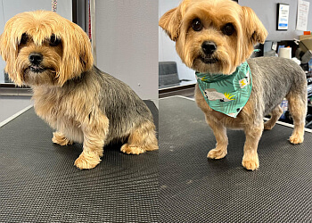Kawartha Lakes pet grooming Ruff Cuts Dog Grooming