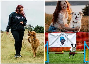 St Johns dog trainer Ruffin' It Canine Club