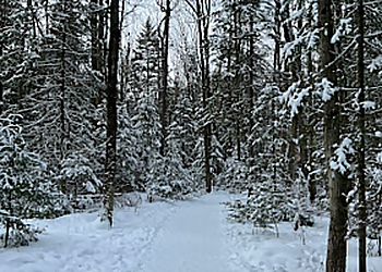 Réserve naturelle du Boisé-de-la-Marconi - Drummondville, QC Sentiers De Randonnée - Professional Highlights
