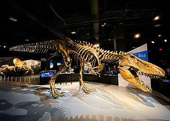 Vancouver places to see Science World