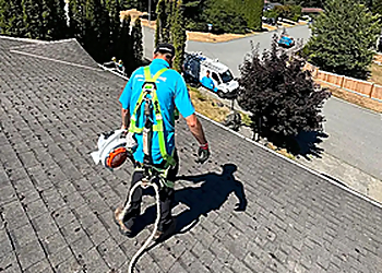 SHACK SHINE - Nanaimo, BC Window Cleaners - Service Highlights