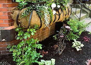 Saint John Paysagistes Shades of Green Ltd.