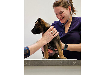 Brantford veterinary clinic Shellard Lane Animal Hospital