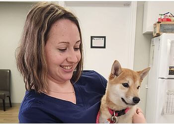 Brantford veterinary clinic Shellard Lane Animal Hospital