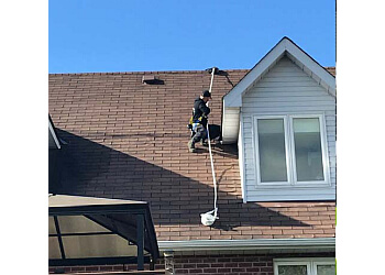 Newmarket animal removal SIA Wildlife Control Inc.