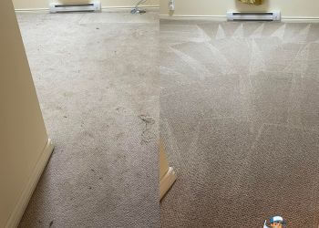 Cambridge Services de ménage SKYREX Property Services Inc