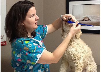 Brampton veterinary clinic Snelgrove Veterinary Services