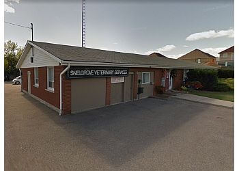 Brampton veterinary clinic SNELGROVE VETERINARY SERVICES image 1