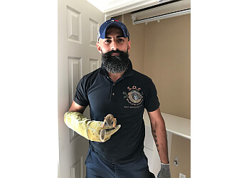 Toronto animal removal SOS Wildlife Control