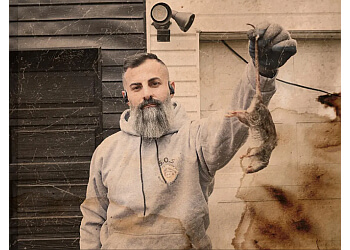 Vaughan animal removal SOS Wildlife Control Inc.