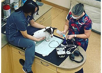 Burnaby veterinary clinic South Burnaby Veterinary Hospital