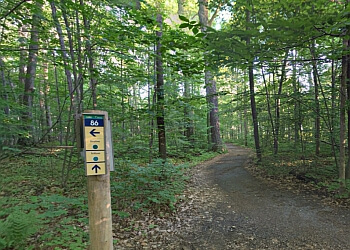 Ottawa Sentiers De Randonnée South March Highlands Conservation Forest