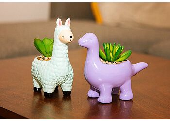 Belleville Boutiques De Cadeaux Spencer's Belleville