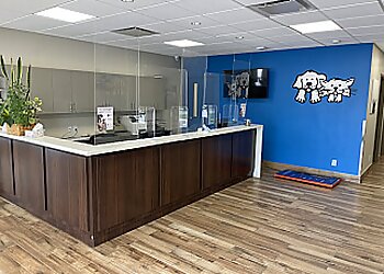 Stouffville veterinary clinic Stouffville Veterinary Clinic