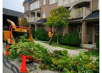 Mississauga Services d'arboriculteur STS Tree Services