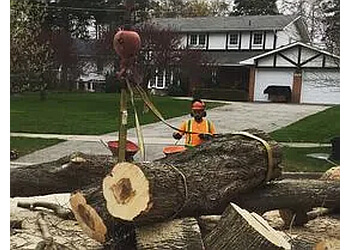 Mississauga Services d'arboriculteur STS Tree Services