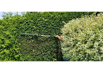 Terrebonne Service D'Entretien De Pelouse S-T-Tick Gazon