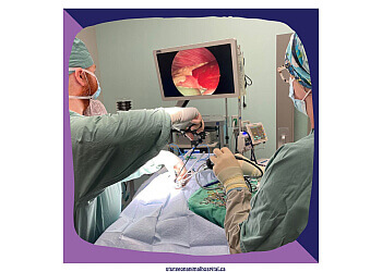 St Albert Cliniques Vétérinaires Sturgeon Animal Hospital