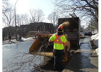 Montreal tree service Safe-T-Tree