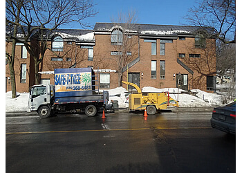 Montreal tree service Safe-T-Tree