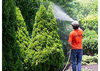 St Catharines tree service Safe Tree Ltd.