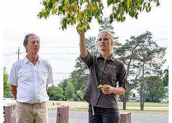 St Catharines tree service Safe Tree Ltd.