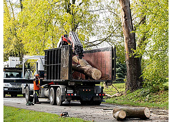 St Catharines
Services d'arboriculteur
Safe Tree Ltd. image 1