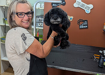 Saint Jean sur Richelieu Salons de Toilettage Pour Animaux De Compagnie Salon De Toilettage Sami-Joe