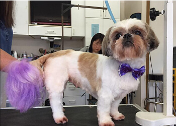 Saint Jean sur Richelieu Salons de Toilettage Pour Animaux De Compagnie Salon De Toilettage Sami-Joe