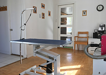 Levis Salons de Toilettage Pour Animaux De Compagnie Salon De Toilettage Toomak