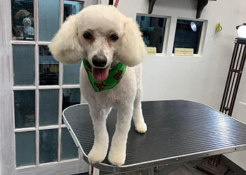 Brossard pet grooming Salon Gloria