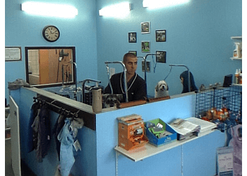 Quebec pet grooming Salon Lavodog