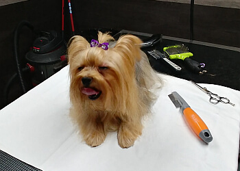 Sherbrooke pet grooming Salon de Toilettage Marco Veilleux