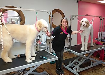 Trois Rivieres Salons de Toilettage Pour Animaux De Compagnie Salon de toilettage Beauté Royale