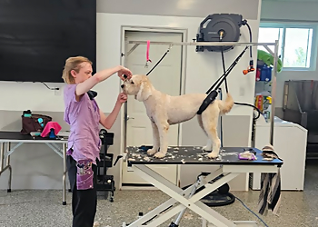 Sarah's Spaw dog grooming - Stouffville, ON Pet Grooming - Dog Grooming Image
